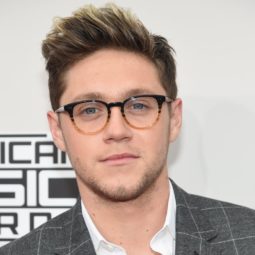 Niall Horan on the red carpet at the AMAs wearing a greay suit with a white short and glasses with his hair worn brushed back into a textured quiff