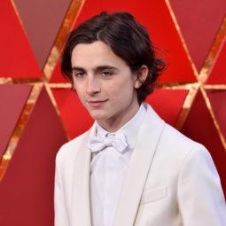 close up shot of timothee chalamet with wavy flow hairstyle, wearing all white suit at the 90th Annual Academy awards