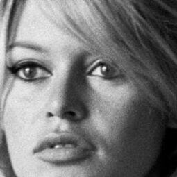 All Things Hair brigitte bardot with sky high backcombed hair