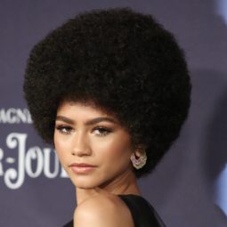 actress zendaya with voluminous afro hair